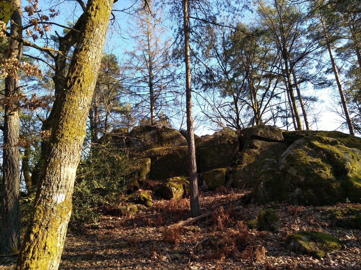 Le perron des lutins vous connaissez ?  C'est le lieu d'une très prochaine #soupeàlasorcière avec l'@otsaulieu et la #teampah 🌻