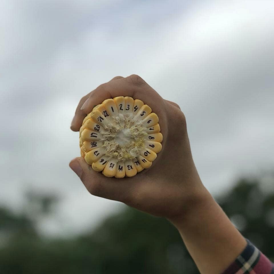 #EnsayosCREACOR...ves las 22 😁🌽? Arte en el agro!