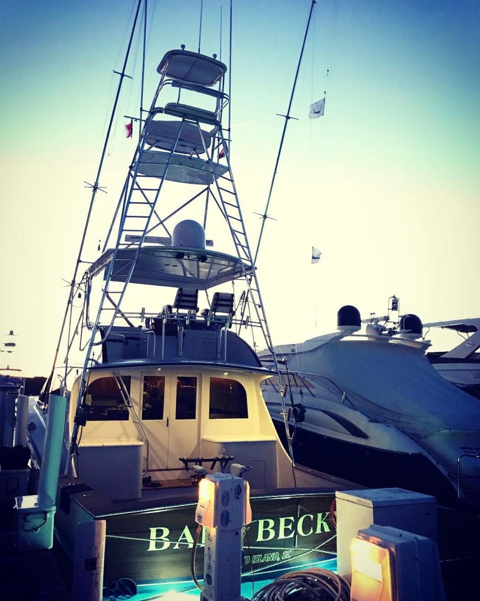 Billfish Report tweet media