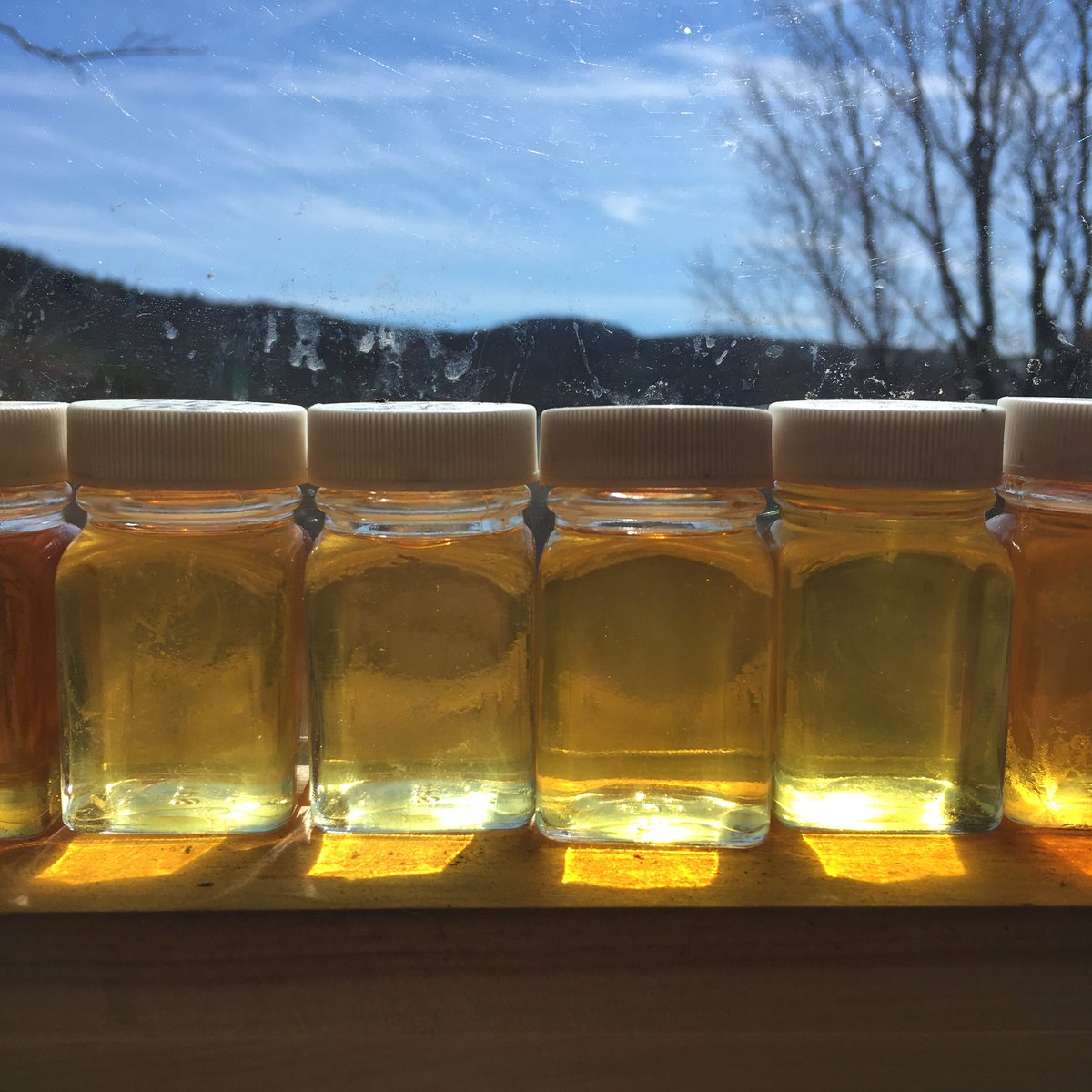 Still boiling <a href="/MerckForest/">Merck Forest</a> ... late season at altitude.  #vermontmaple