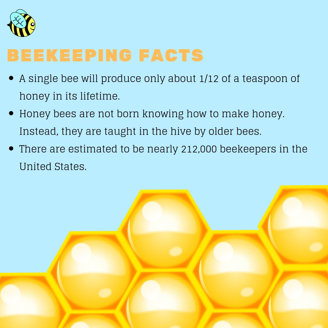 beecaringbabson's tweet photo. Despite how many flowers a bee pollinates in its entire lifetime, it only produces 1/12 of a teaspoon of honey in its lifetime! Now think about how many bees helped create that jar of honey.... #beefacts #beeducated #extinction #unitedstates #nature #facts #giveabuzz #savethebees https://t.co/P9ABUxLR07