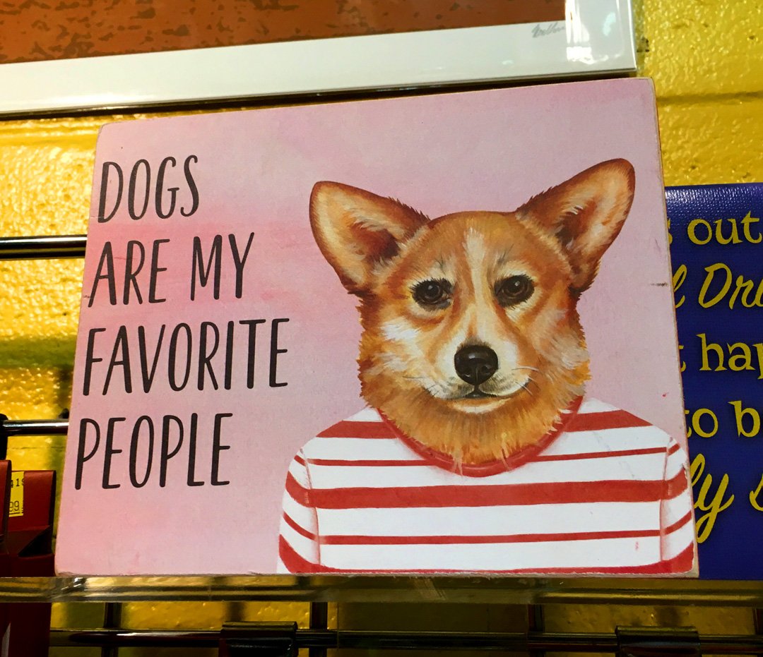 recordarchive's tweet photo. Ah finally, the perfect wall art for the person who hangs out with the dog at parties and has "fluent in sarcasm" in their tinder bio. https://t.co/MNGh4AcH7W