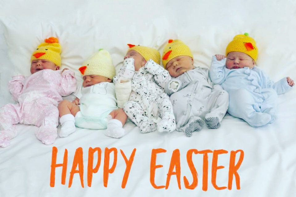 RSCH_Maternity's tweet photo. To all our families, have a safe &amp; Happy Easter from all of us at the Royal Surrey Maternity Unit

Our Maternity unit is open 24/7. Any concerns regarding your pregnancy, yourself or baby (to 28 days old) call #pregnancyadviceline 0300 123 5473

https://t.co/IHCGRqOTk4 https://t.co/o3uqtN6dBs