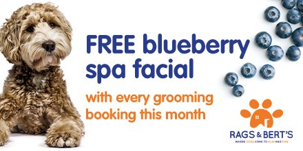 Groomer to the stars joins Rags &amp; Bert’s. Sacha has groomed many celebrities pets incl. the Beckhams, Orlando Bloom, and Gary Barlow. She's ready for your stars!
Book now and get a FREE blueberry facial with every booking in May. 
Call 0118 207 7788 or bookings@ragsandberts.co.uk