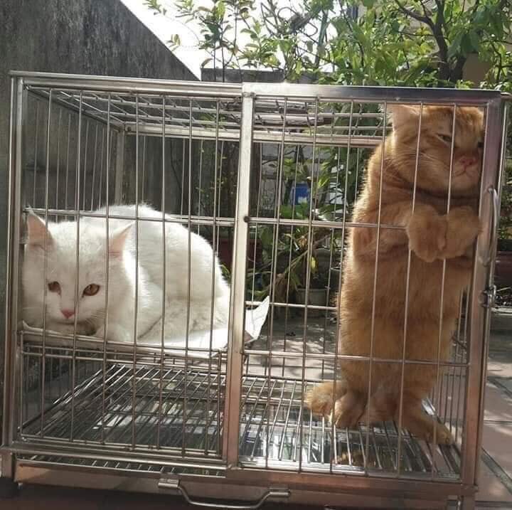 ไอเลิฟหนมแงวเลีย tweet media