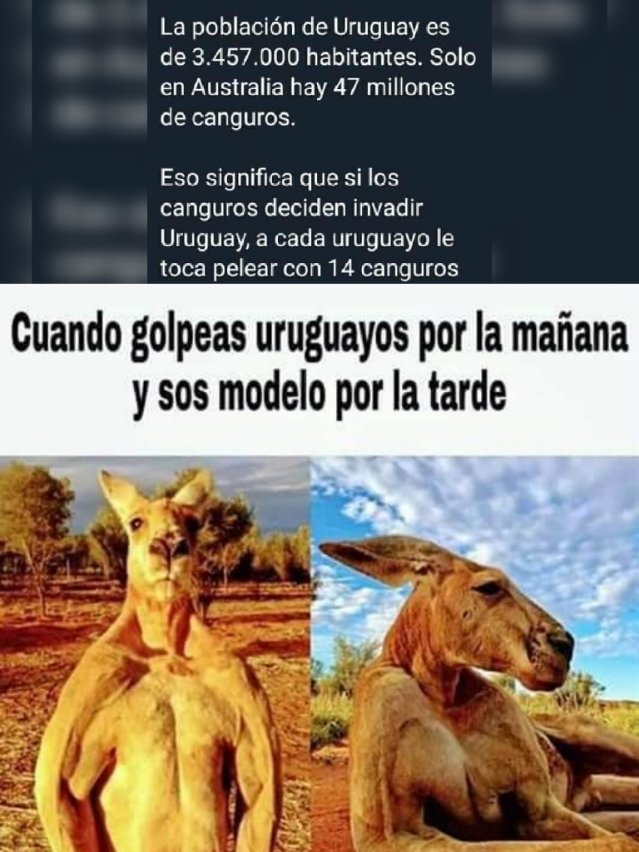 Comento La Novela tweet media