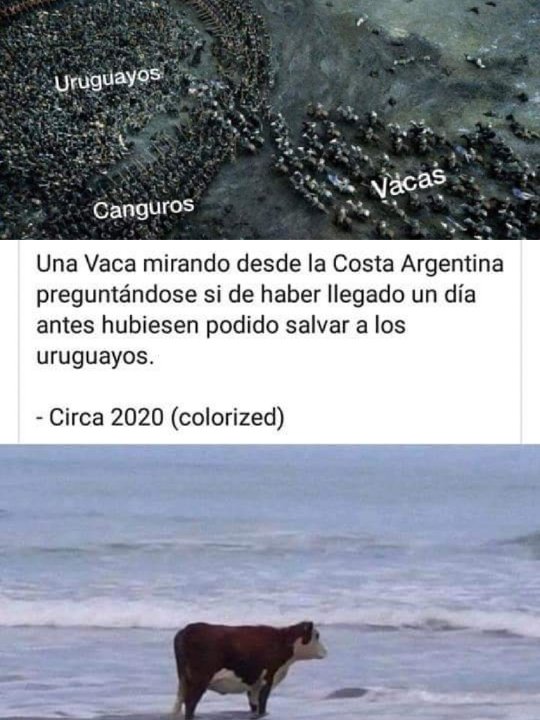 Comento La Novela tweet media