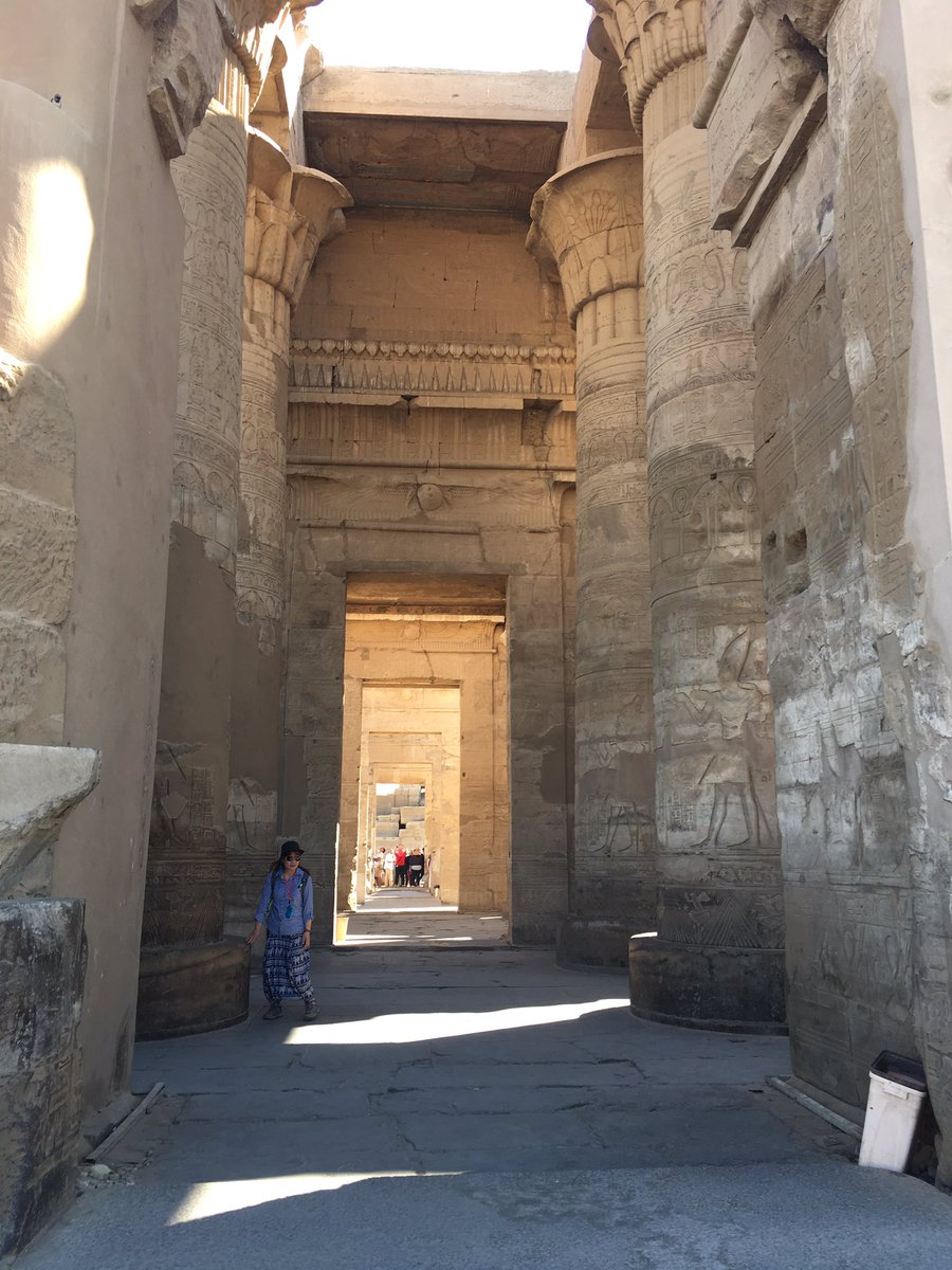 シラキ 引力レコーズ はゐる コムオンボ神殿 コムオンボは 古代エジプトで金塊という意味 みんなのヒーローホルス神とワニの神セビックを祀った二重構造の神殿 当時は病院としても使われていた また ポルナレフとアヌビス神の決闘の場であることは一般