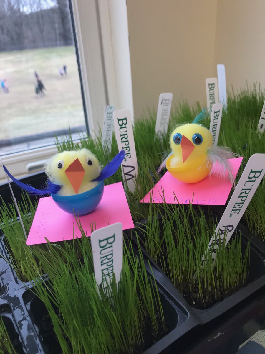 pes_christensen's tweet photo. It is looking like spring in Kindergarten! https://t.co/piOciZGlzL