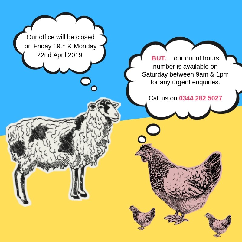 RuralInsurance's tweet image. 