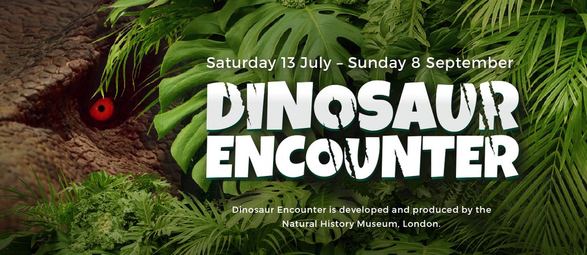 lincmuseumusher's tweet photo. Coming to The Collection Museum this summer is 'Dinosaur Encounter' exhibition from the @NHM_London
Pre-sale tickets are now available online and at the reception desk – https://t.co/6XSZ6FVfJM https://t.co/VdLn5vG6aY