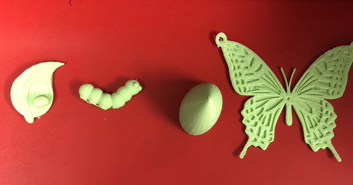 tlonderee's tweet photo. In Science, 2nd graders at @bethelelem are learning about animal life cycles so we decided to make the life cycle of a butterfly using @tinkercad and our 3D printer. #BethelBengals #bethelstem #stem #3dprinting #science https://t.co/DxitMu3CXv