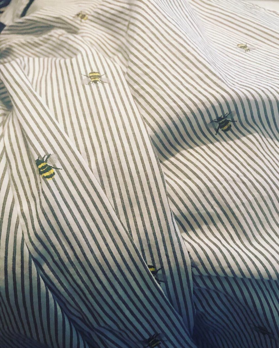 LJohnsonTeacher's tweet image. We are ready for @PowellGardens for our field trip about Pollinators! I had to wear my bee gear! 🐝 @isdscience @ISDSchools @3TrailsTigers #3tepride #kcedu #weR2ndgrade #goingbeyond