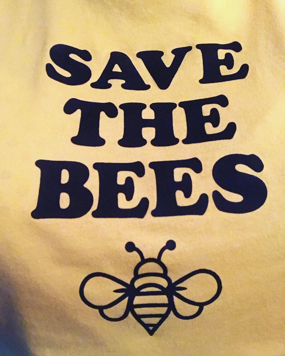 LJohnsonTeacher's tweet image. We are ready for @PowellGardens for our field trip about Pollinators! I had to wear my bee gear! 🐝 @isdscience @ISDSchools @3TrailsTigers #3tepride #kcedu #weR2ndgrade #goingbeyond