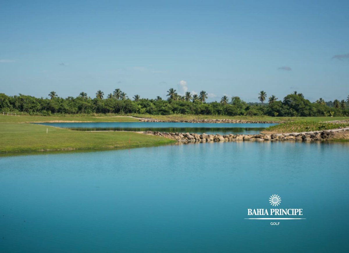 Ocean's 4 Golf tweet media