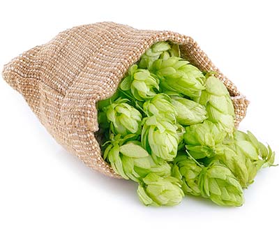 Battlefield Brew Works tweet media
