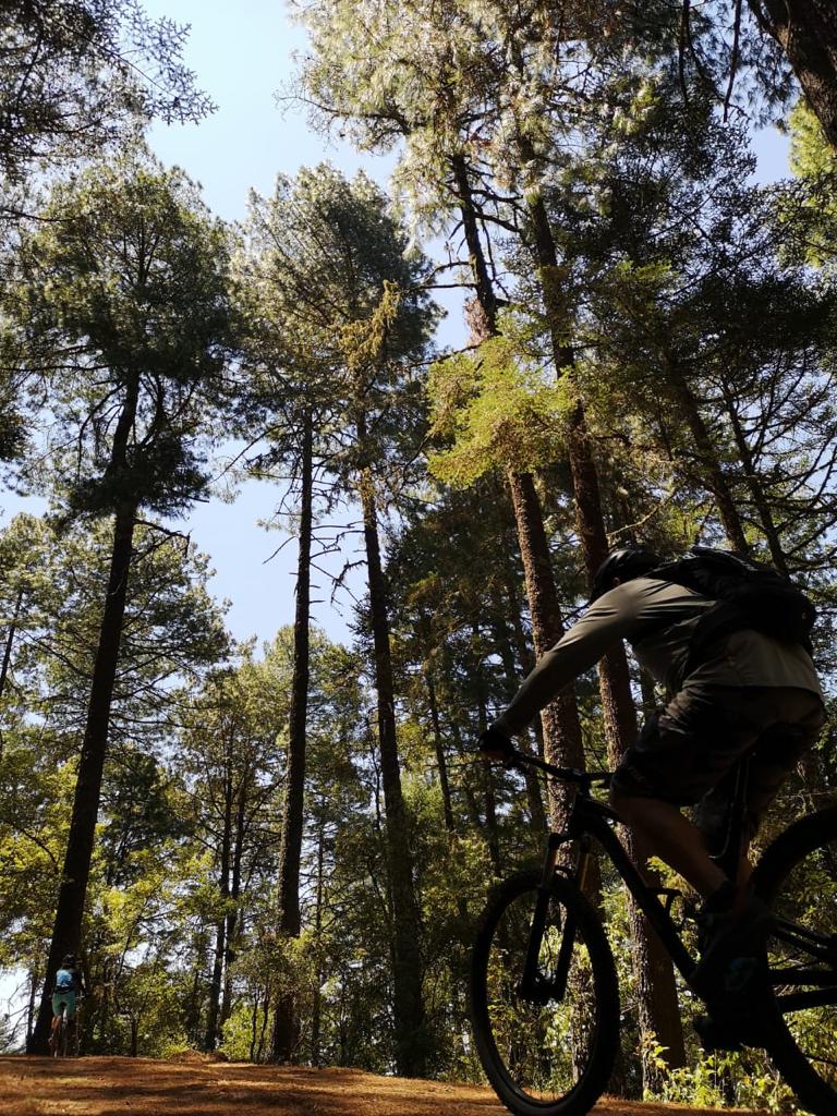 Mniembro's tweet photo. Paisajes  increíbles en la Sierra norte de Oaxaca #caminayruedaoaxaca https://t.co/5b1PgAuY6t