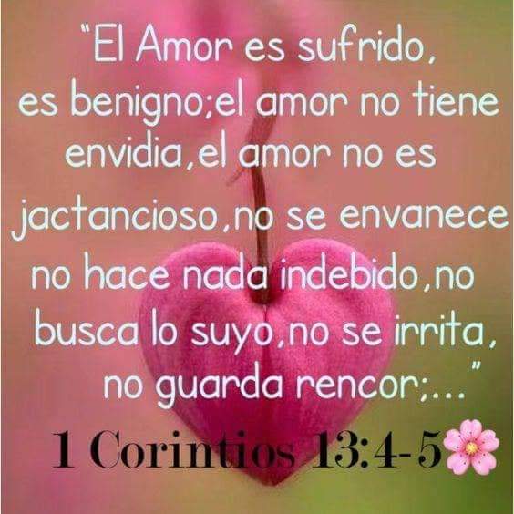 Johanadecorona1's tweet photo. @Karolin58289867 https://t.co/FSo49P6bXk