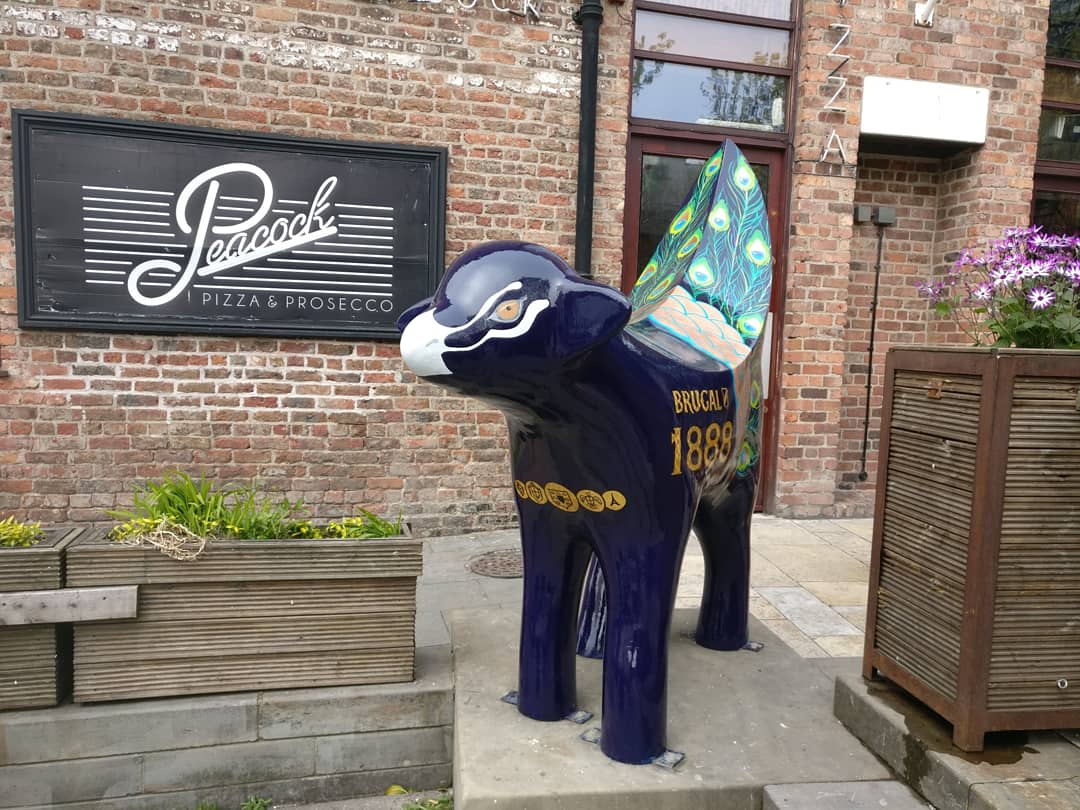 Harry Mytton Signs tweet media