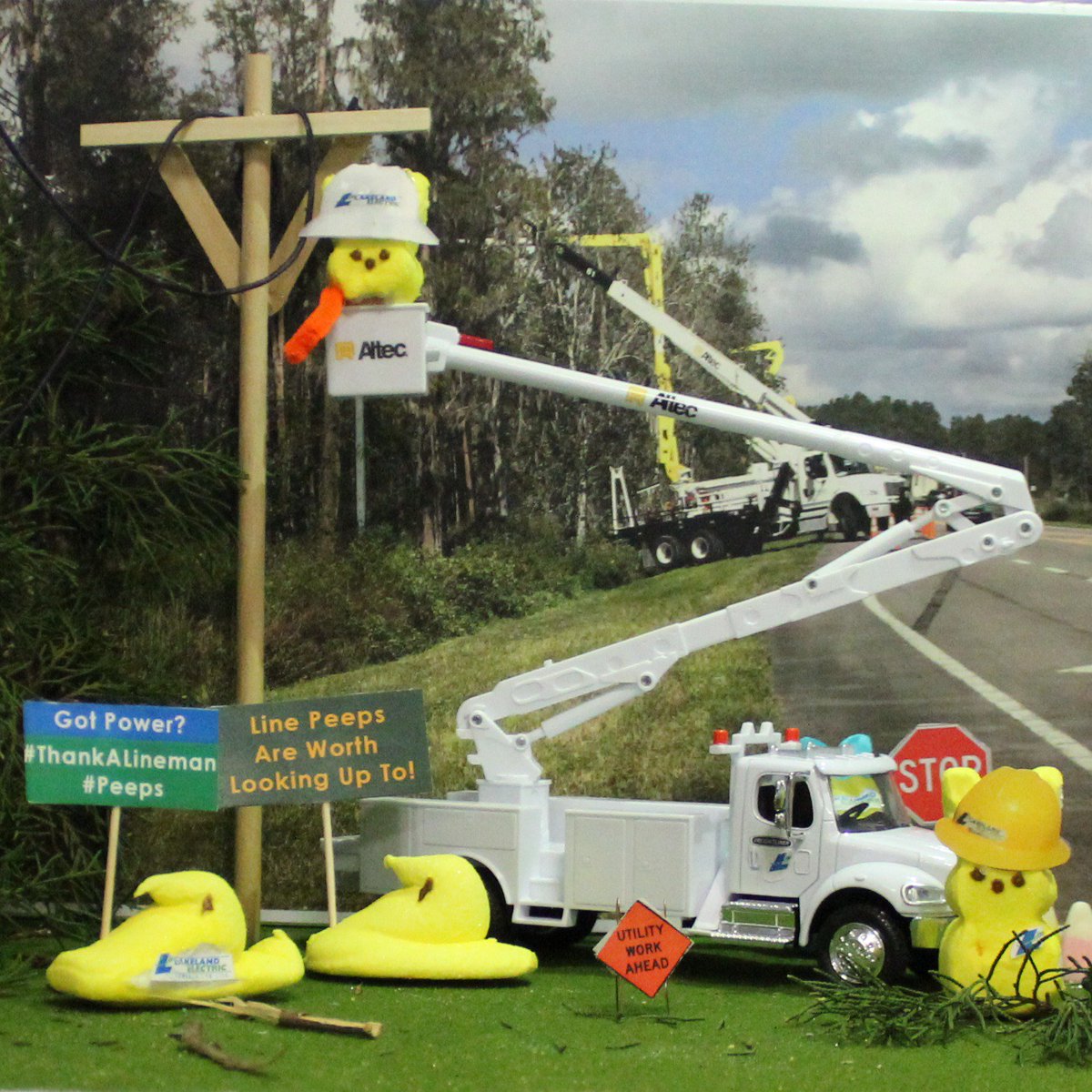 mylkldelectric's tweet photo. It's National Lineman Appreciation Day!

Thank you to all of our dedicated #linemen across the country for keeping #Peeps #PoweredForLife like a #Boss... everyday.

#ThankALineman #Linelife #PublicPower #Linewives #Linewife #PeepDiorama #Fl #Lkld #Polk https://t.co/CghGJtFmMR