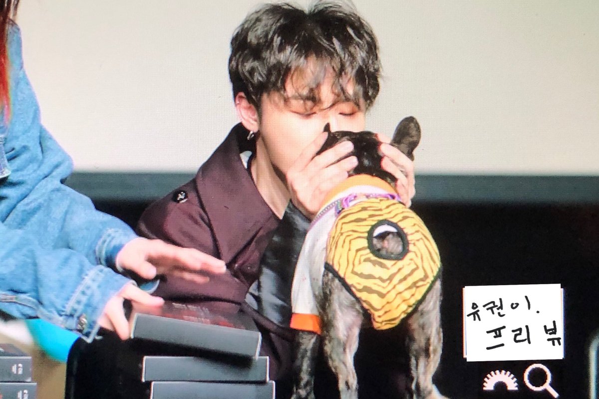 TenderPoison409's tweet photo. 190418 팬싸 #블락비 #유권 #블락비바스타즈 https://t.co/INZomXLs3S