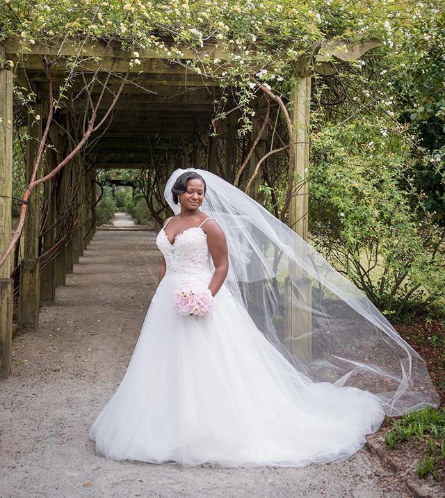 PalmettoDuo's tweet photo. ♥️ long veils!  #bridalportraits @jolinsinc https://t.co/OlGvpmwGaA https://t.co/4SjC2d7ikv