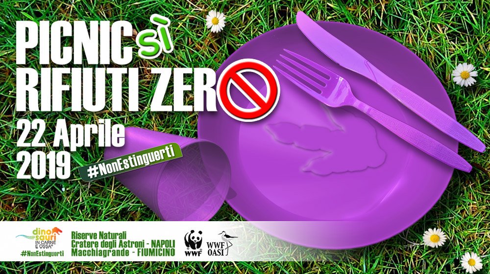 dinosauriDCO's tweet photo. 🚫🍽 PICNIC si RIFIUTI ZERO‼

A Pasquetta, il 22 aprile, Pic-nic si Rifiuti Zero nell'@OasiAstroni #Napoli e Oasi Macchiagrande #Fiumicino che ospitano la mostra! Usa prodotti e materiali riutilizzabili #NoUsaEGetta. Rispetta la natura #nonestinguerti 👉https://t.co/uxFQPaDLhi https://t.co/WJQN4tIXHI