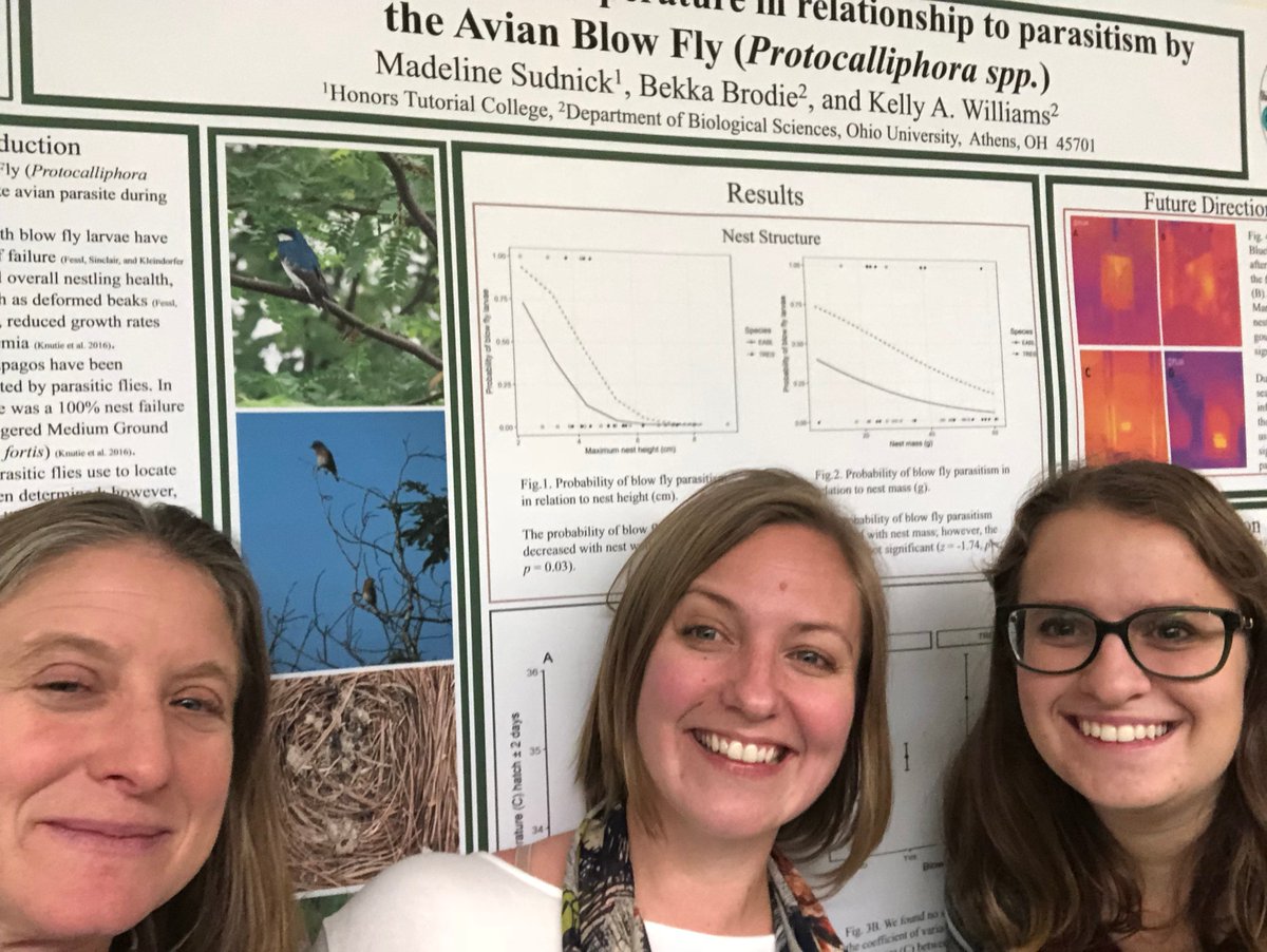 BugswithBekka's tweet photo. What happens when an #OUinsects & Avian Ecology lab (Dr. Williams) teams up w/ an outstanding young scientist (@themaddiecology )? We get funding to investigate bird parasites (see #VampireMaggots)! TY @ColumbusAudubon & OU Research Council! https://t.co/M4xMLcRGEU