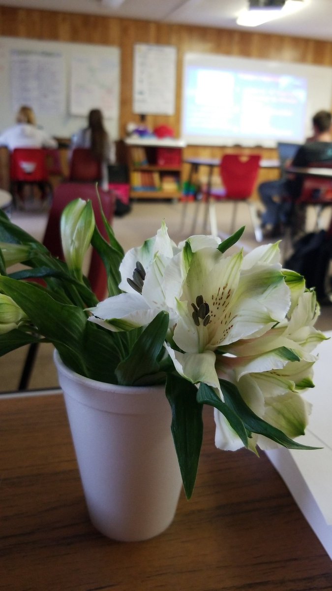 It's amazing co-workers like <a href="/jchs_roe/">Regina Roe</a> that make me so happy I came to JCHS! Thank you for brightening up my morning. 😍