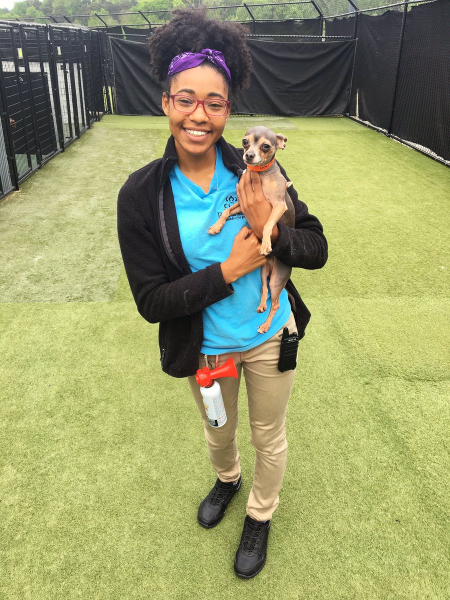 petparadiseATL's tweet photo. #ThankfulThursday
Kailey is thankful she works in paradise because she gets to play with cute babies like Diego! https://t.co/CMpbrKfxRf