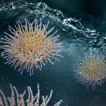 Stormsaver's tweet image. Advances In Clean Water Technology From Researchers in China, Germany, &amp;amp; The US.

#cleanwatertechnology
buff.ly/2ra0rMo