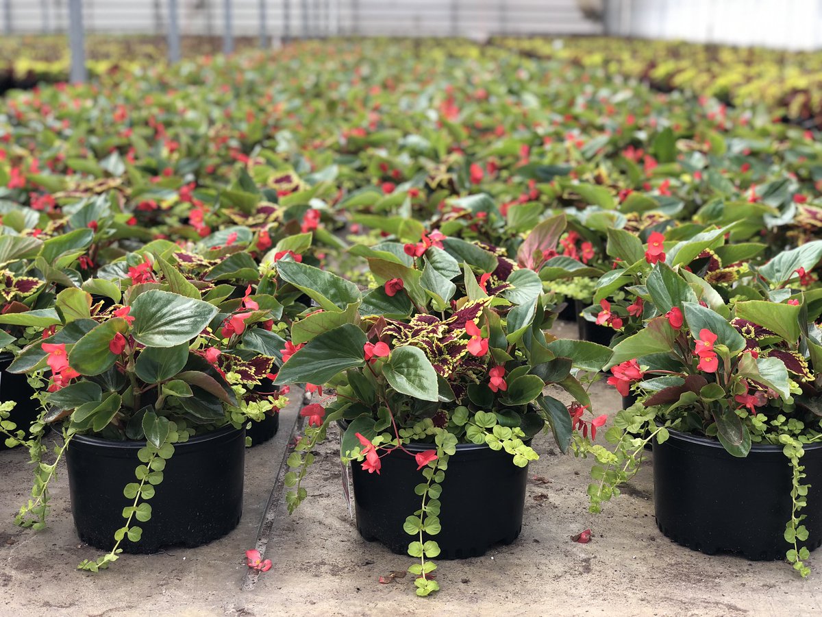 We love a good combination!