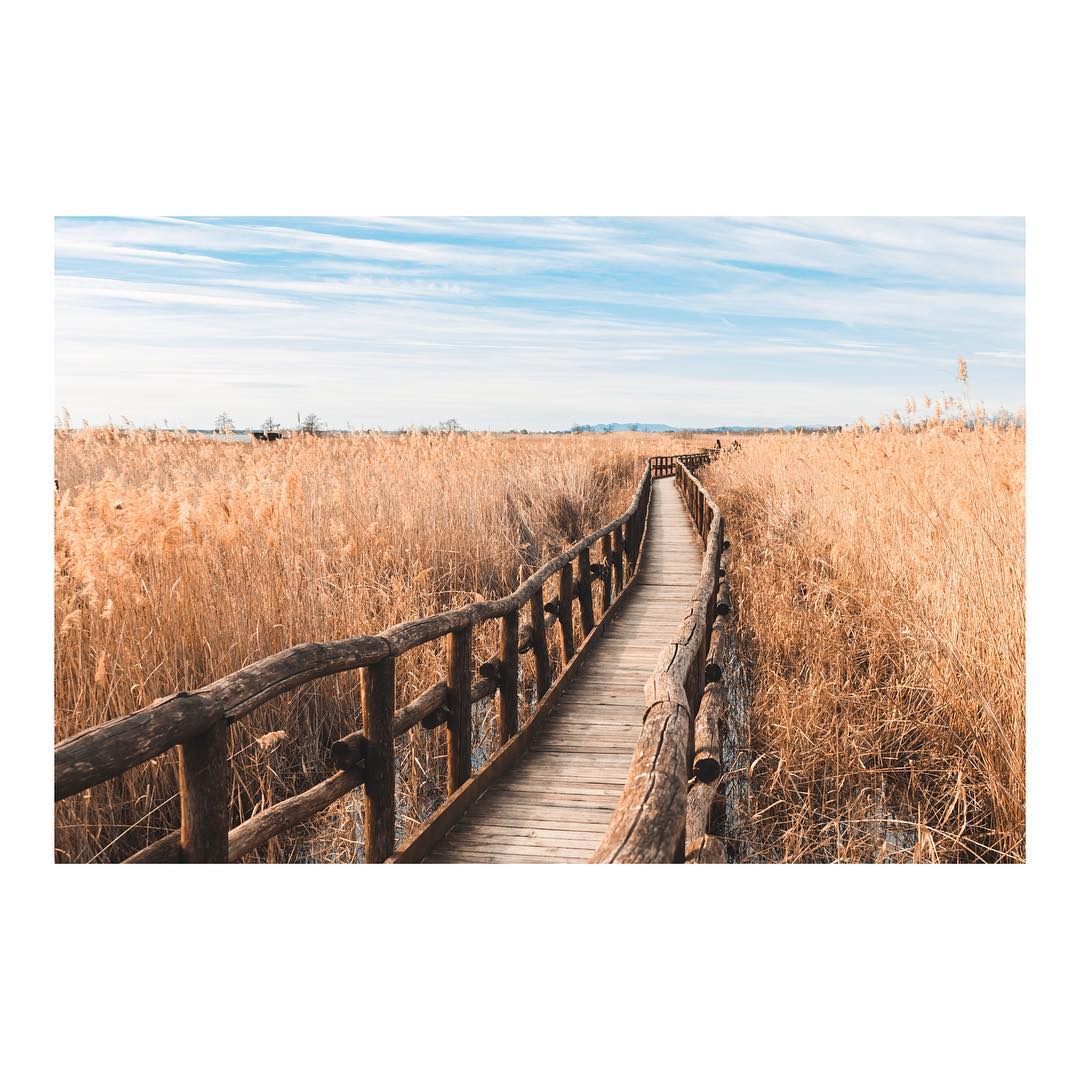 ShaktiSinhji07's tweet photo. Life isn't easy, but it IS beautiful. We learn, we grow, we teach and expand - together. Solely can do our best &amp; continue to cycle through.#travel #Traveller #photographer #photography #photoofday #PhotoOfTheDay #follobackforfolloback #FolloMe #travelblogger #summer #summertime https://t.co/IAnNxKGEnR