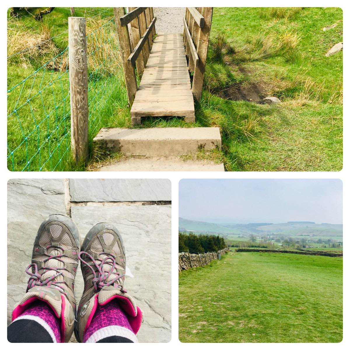 kmljjj's tweet image. Lovely day in the sunshine ☀️ climbing Pendle hill with one now very tired pooch💙
#Notawitchinsight
#Steepclimb
#Gloriouscountryside
#Earntourpublunch