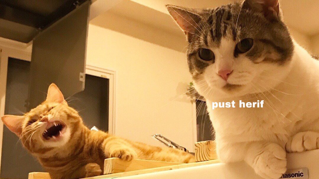 ark: saka yapiorum alinmiyosun dimi ya
ben: yok bee :)
ic sesim: