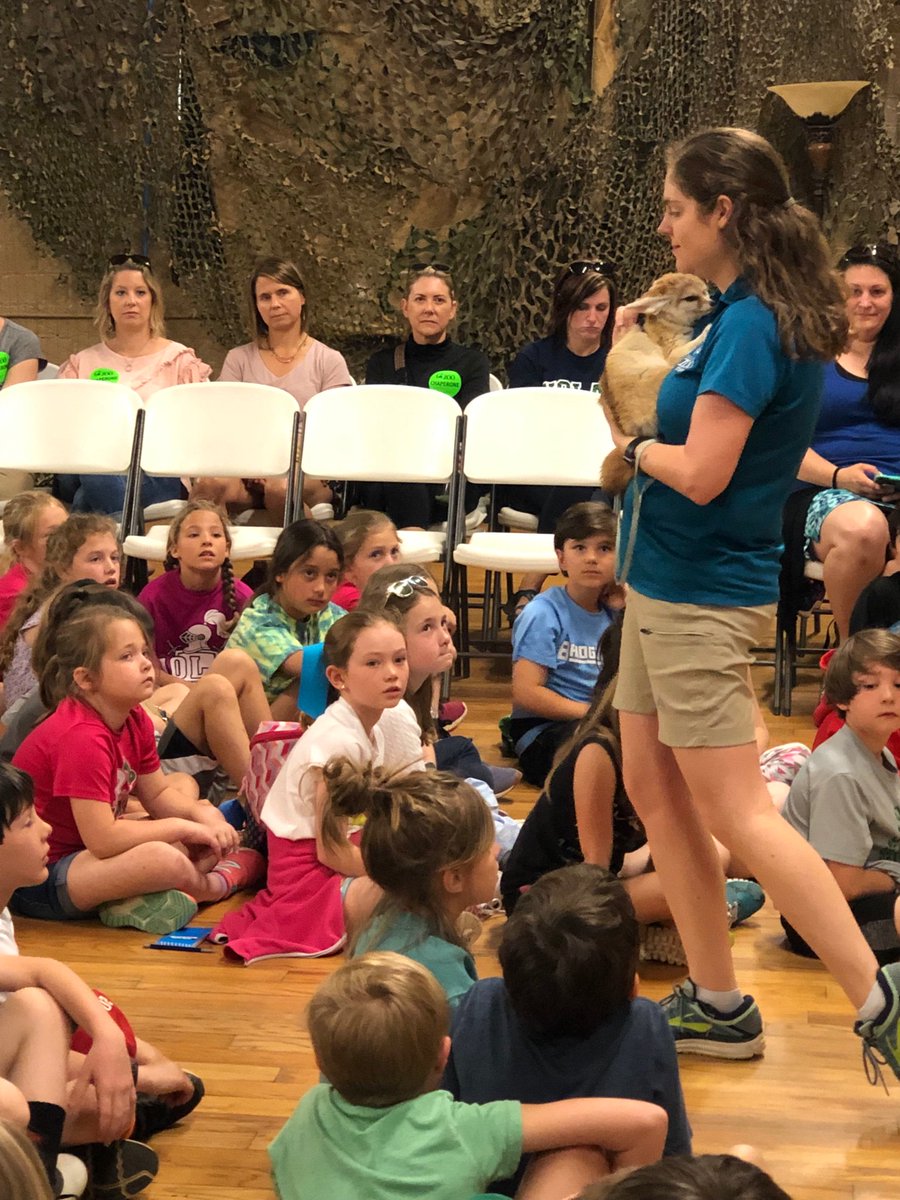 Kim Lockery tweet media