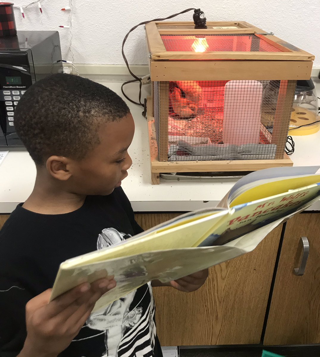 pyron_anne's tweet photo. Reading to the chicks. One was listening until I came over. By the end, they were sound asleep. #DESisBEST @DESDolphins  @kristin_clary @ibpyp https://t.co/urz83qcrxd