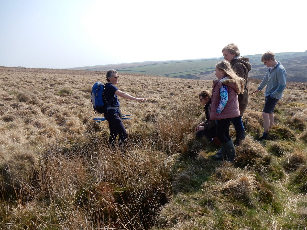 ypp_peat's tweet photo. Thanks to everyone who came to yesterday's #peatlands event with @humberstone_bf in splendid @NidderdaleAONB - it was lovely to spend time with you all and we hope you learned something (and had as much fun as we did) #GivePeatAChance https://t.co/DEkPQs5tSs https://t.co/s88Cg1uP8u