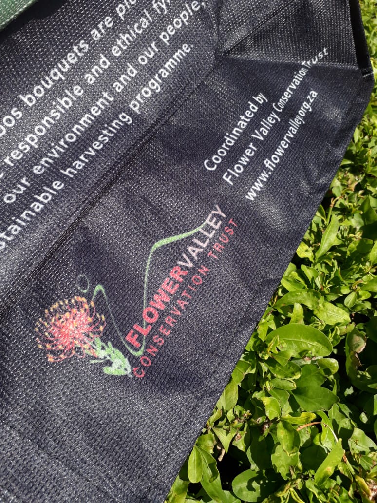 WildlifeCampus's tweet photo. L❤ve this awesome initiative from @PicknPay and @flowervalleyct! Eliminating all the excess plastic on our beautiful #planet starts with the smallest daily contributions! #Reusable #shopping #bags made out of #plastic #bottles. #learnprotectsave #conservation #protea #fynbos https://t.co/RUeTyep3tC