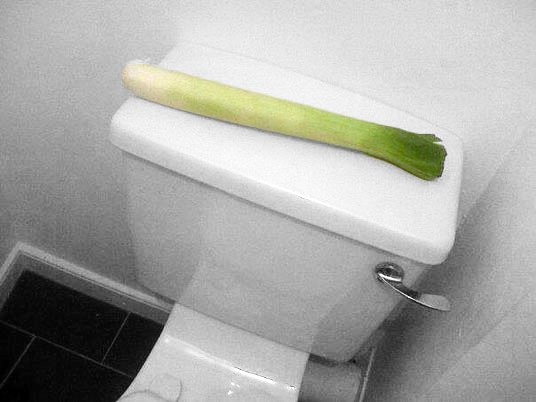 Toilet leeks are no joking matter! #plumbinghumor #puns