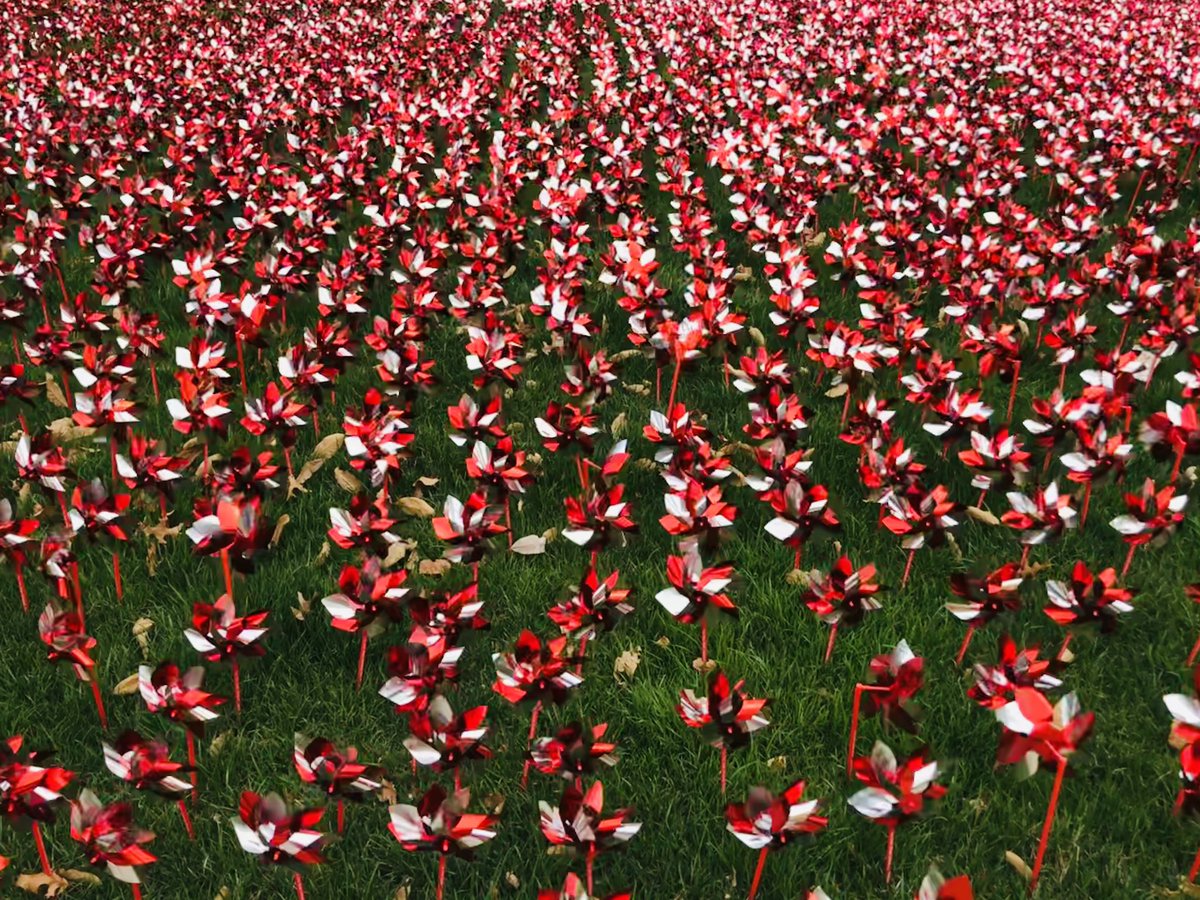 CArnoldMD's tweet image. #BuckeyePinwheelGarden celebrates more than 9,700 organ transplants at OSU since 1967. Each pinwheel has 8 spokes: one organ donor can save up to 8 lives. #ThisIsOSU #OneOSU
