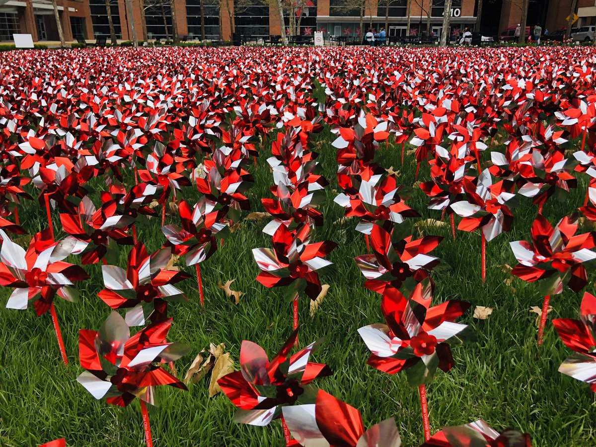 CArnoldMD's tweet image. #BuckeyePinwheelGarden celebrates more than 9,700 organ transplants at OSU since 1967. Each pinwheel has 8 spokes: one organ donor can save up to 8 lives. #ThisIsOSU #OneOSU