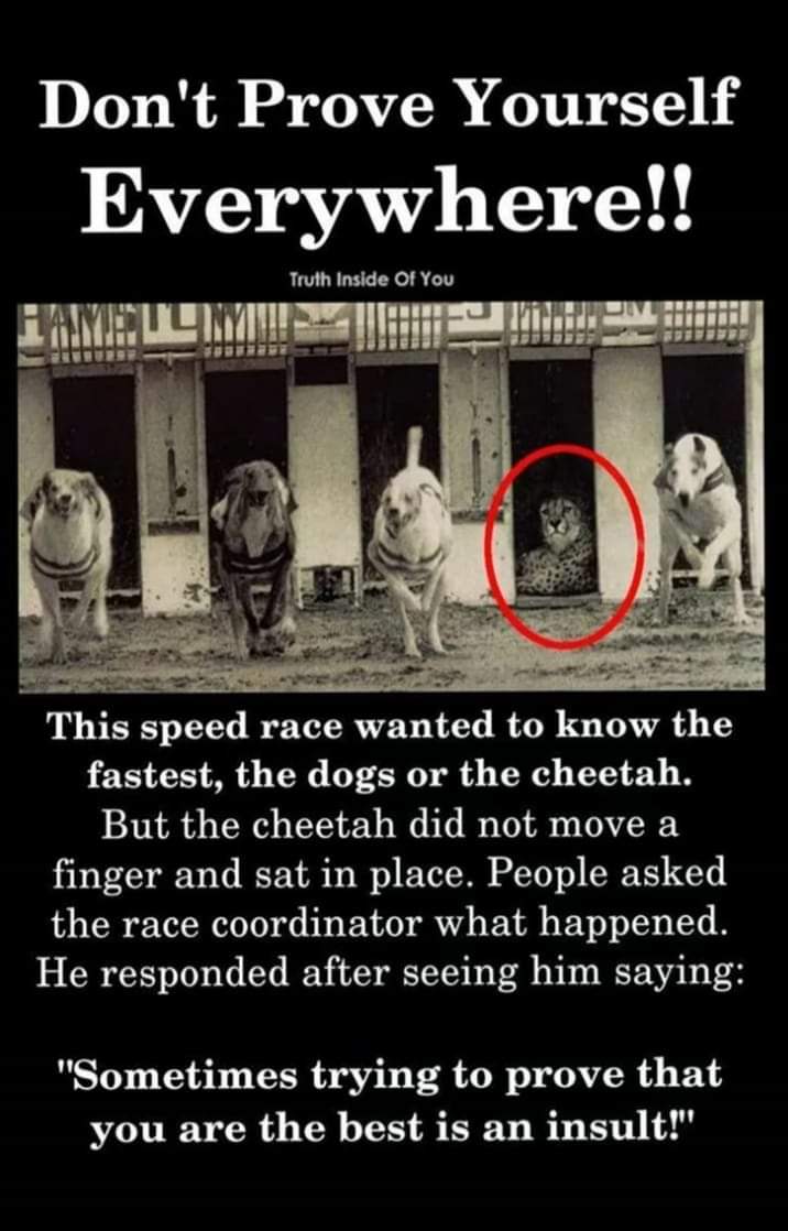 steshagrace's tweet photo. Note to myself https://t.co/LZKHLVs8eJ