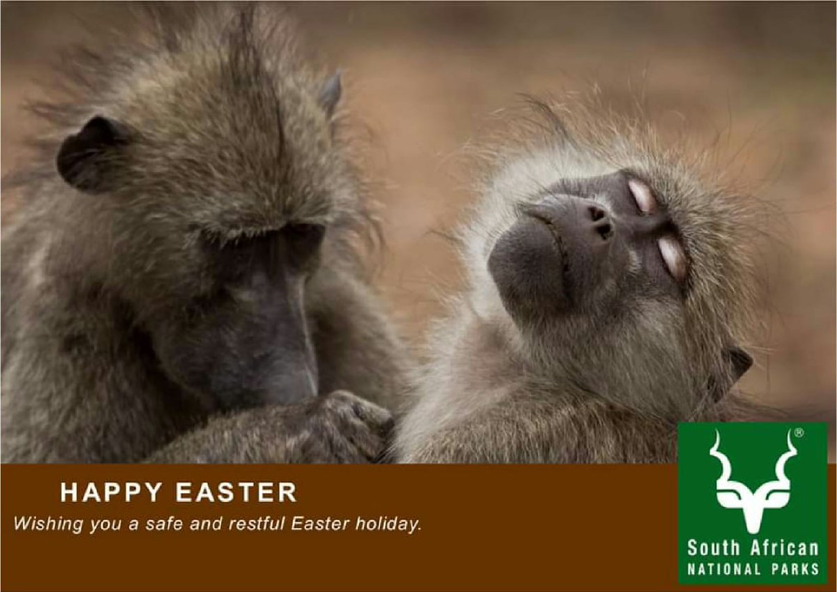 Stay safe and have a fabulous time!!
#aridregion #namaquanationalpark #richtersveld #kgalagadi #mokala #augrabiesfalls