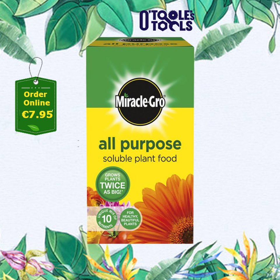 Miracle Gro Plant Food 

#plants #Food at <a href="/OToolesTools/">O'Toole's Tools</a> online store