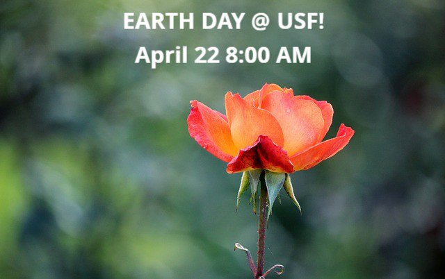 Commuters_USF's tweet photo. USF students are invited to join in trash clean up efforts on campus and at nearby Sweeney Park. You can document work for service hours by a collage picture showing before and after shots, sent to starkeyia@cougars.sf.edu. Share your pictures at: #USFTrashtag 
#usffw https://t.co/wK3Dho9qbU