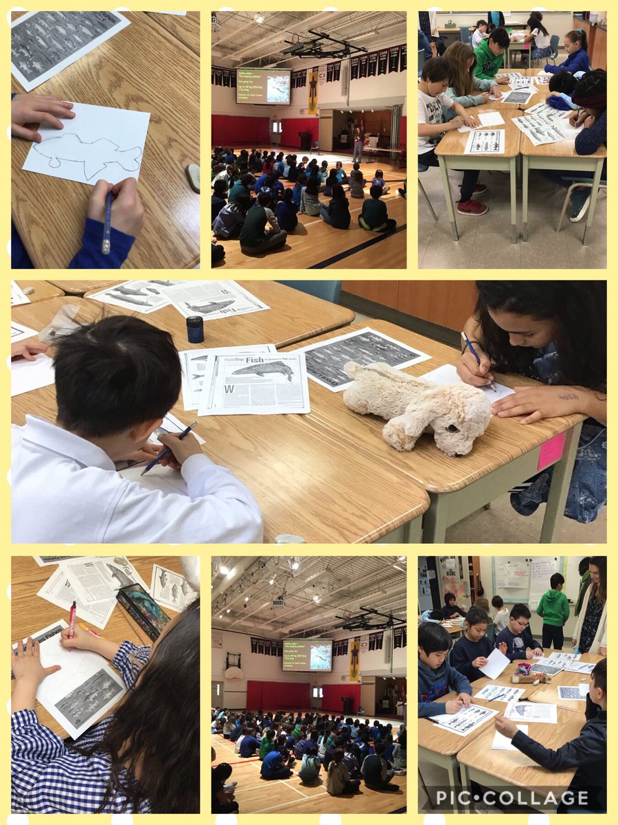HTS_MsLeuchter's tweet photo. We are learning how to save our fresh water salmon and designing our own fish for our fish art project. #HTSStudentlifeday @HTSRichmondHill https://t.co/ZGMoCkYb7R