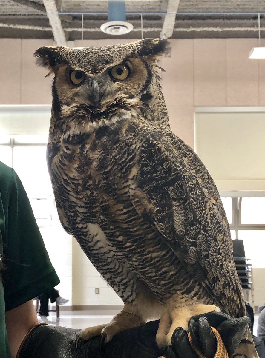 What a hoot this morning hanging out with Einstein the owl. I feel wiser!#HTSStudentLife