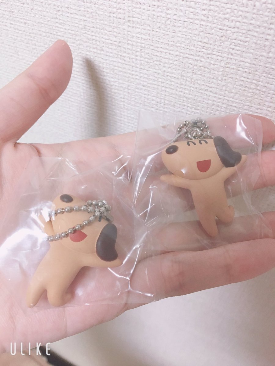 はな على تويتر 交換 譲渡 いらすとやパーティ マスコットキーホルダー 譲 犬2 求 猫 ウサギor定価 送料 基本郵送対応 猫かウサギとの交換のみ都内手渡し要相談 検索からもお気軽にどうぞ はな على تويتر 交換 譲渡 いらすとやパーティ マスコットキーホルダー 譲 犬2 求 猫 ウサギor定価 送料 基本郵送対応 猫かウサギとの交換のみ都内手渡し要相談 検索からもお気軽にどうぞ