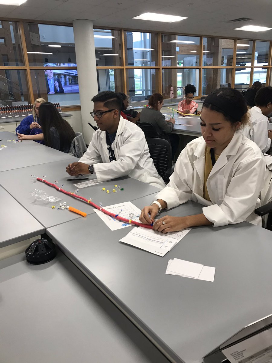 Beth Patton tweet media